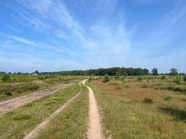 Appelscha 'daki MTB parçası, Hollanda' daki Friesland