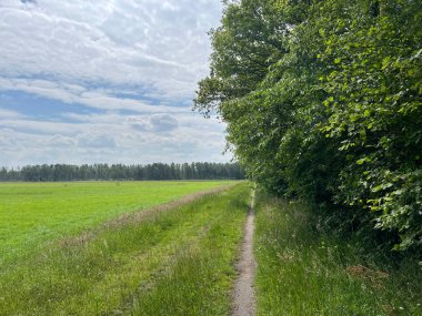 Hollanda Drenthe 'de Sleen' in izini sürdük.