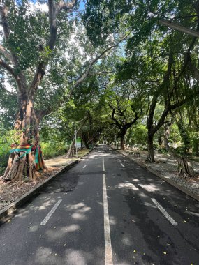 Bangkok, Tayland 'daki Teochew Mezarlığı Parkı