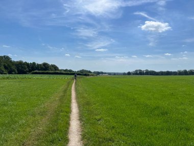 Hollanda 'nın Overijssel kentindeki Ootmarsum çevresinde MTB hattı