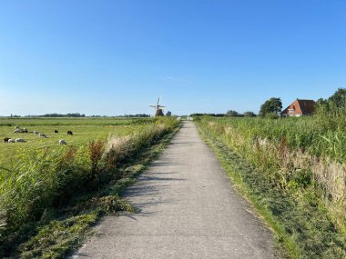 Hollanda, Friesland 'daki Burgwerd çevresindeki yel değirmeni.