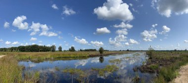 Panorama from Wetlands Drents-Friese Wold National Park in Friesland the Netherlands clipart