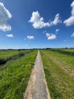 Hollanda, Friesland 'da Tzum çevresinde küçük bir patika.