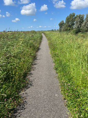 Hollanda, Friesland 'da Baard çevresinde küçük bir patika.