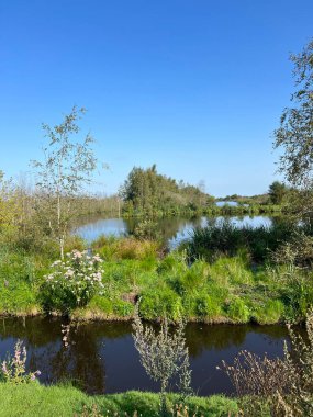 De Deelen, Hollanda Friesland 'da.