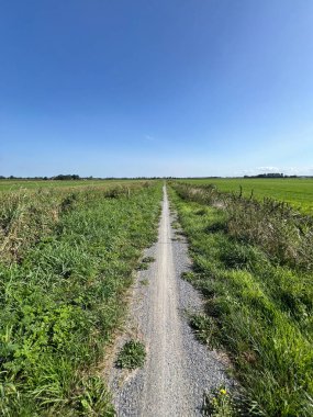 Hollanda Friesland 'daki Nij Pancarları' nın etrafında bisiklet yolu