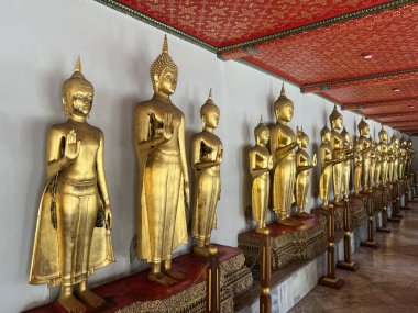 Wat Pho Budizm Tapınağı Bangkok, Tayland