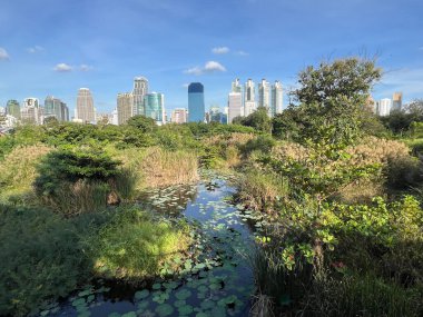 Bangkok, Tayland 'daki Benchakitti orman parkında gökyüzü yürüyüşü