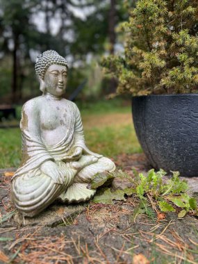 Hollanda 'daki Hellendoor çevresindeki ormanda Buda heykeli