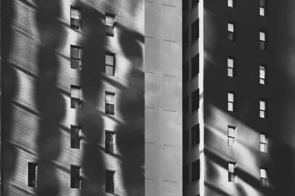 Black White Abstraction Sunlight Reflecting Brick Building Faade Windows Shadow — Stock Photo, Image