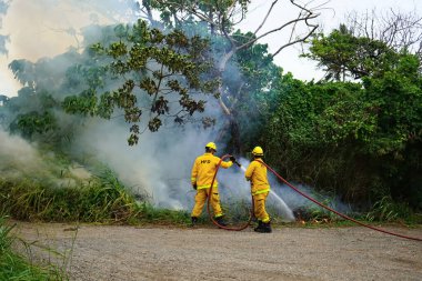 Kahuku, HI - 3 Ocak 2024: Honolulu İtfaiye Departmanı HFD itfaiyecileri Oahu 'daki vahşi çalı yangınına müdahale ediyorlar. Yerel görgü tanıklarına göre yangın kasten çıkarılmış..