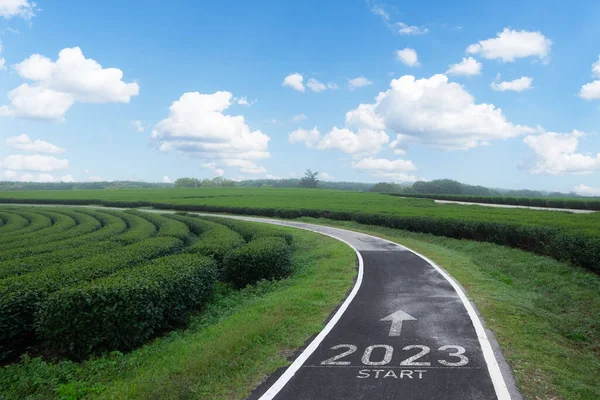 Happy new year 2023,2023 symbolizes the start of the new year. The letter start new year 2023 on the road in the nature fresh green tea farm mountain environment ecology or greenery wallpaper concept.