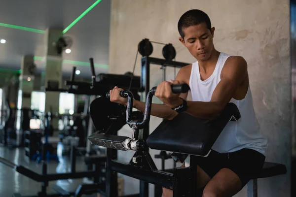 Asian sport man using dumbbell exercise at gym. Asian body building for muscle training. Sport health gym concept.