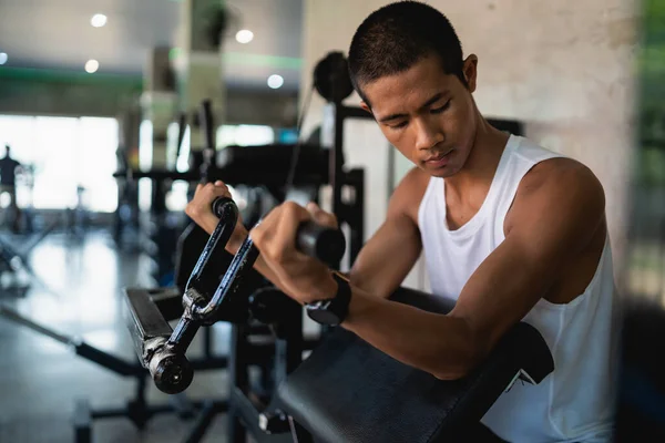 Asian sport man using dumbbell exercise at gym. Asian body building for muscle training. Sport health gym concept.