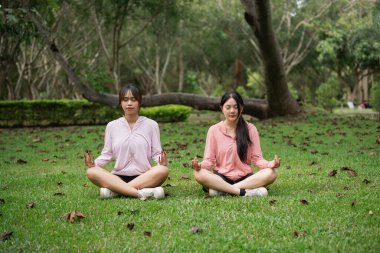 Lush Park 'ta Meditasyon Yapan İki Kadın Doğa, Huzurlu ve Huzurlu Açık Hava Çevresiyle çevrili Yeşil Çimlerde Oturuyor
