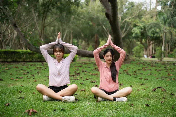 Yeşil Park 'ta Yoga Yapan İki Kadın Huzur ve Huzur Sağlama ve Doğanın Huzurunu Kucaklayan İç Barışa Odaklanma Üzerinde Çalışıyor