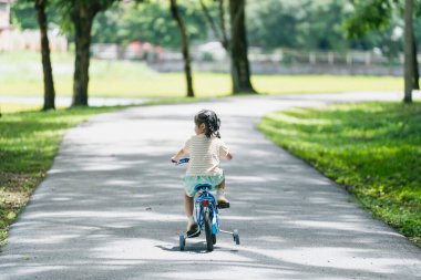 Lush Green Park 'ta bisiklet süren çocuk güneşli bir günde Parlak Mavi Gök altında ağaçlarla çevrili.