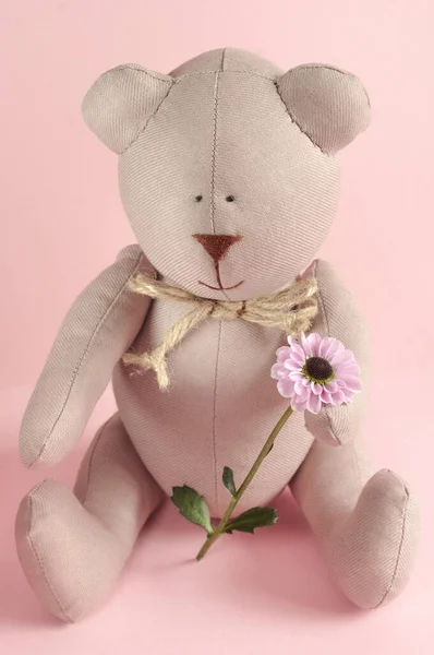 Close Toy Bear Made Fabric Flower Its Paw Pink Background Royalty Free Stock Photos