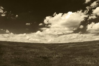 a sepia grass pasture grazing field farm vintage farming usa plains countryside