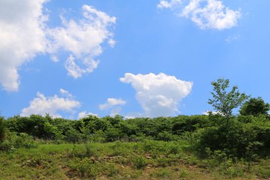 a countryside hillside hill sunny ridge crest day clean air mountain hike sky