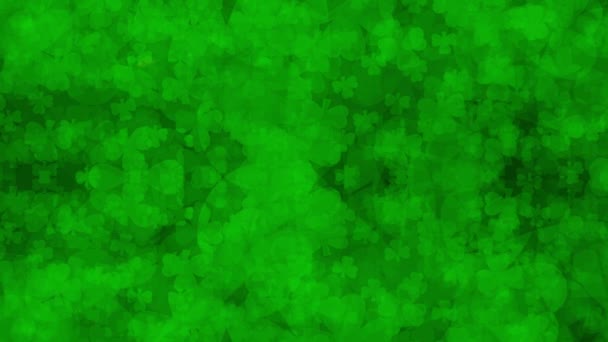 Moving Clover Shamrock Patricks Day Holiday Green Background Backdrop Video — Stockvideo