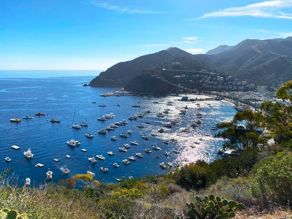 Bir Catalina Adası Avalon Koyu Vista Dağı 'nın kayalıklarına mavi gökyüzüne bakıyor.