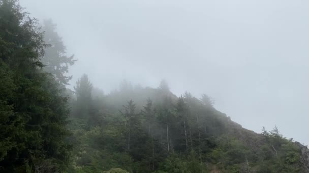 Ранкова Роса Гірський Туман Прибережний Туман Схил Узбережжя Рухається Лісовий — стокове відео