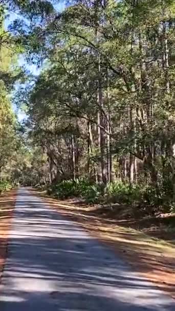 Vertical Country Rural Road Hiking Bike Path Sunny Moving Landscape — Vídeos de Stock