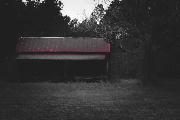 a deserted haunted a house swamp hut abandoned spooky horror movie background