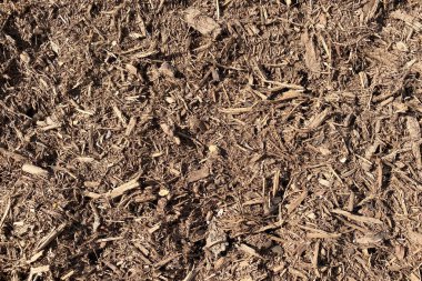 a detailed wide angle view looking down at some natural and dry mulch ground covering perfect for garden and gardening background as well as nature backdrops