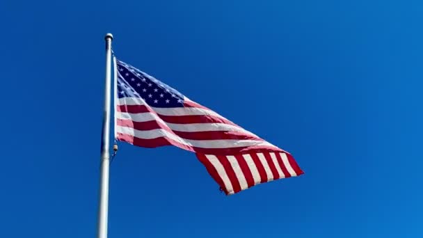 Vacanza Ventosa Bandiera Americana Blu Rosso Bianco Strisce Stelle America — Video Stock