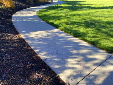 a park sunny sidewalk garden footpath promenade shadows concrete pathway urban
