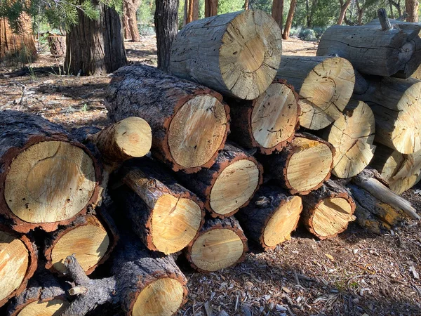 a firewood logs timber cut fire wood log stack stacks campground camping fuel