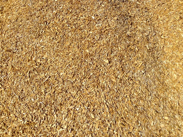 Jardim Madeira Chip Corte Quintal Chips Mulch Estacas Log Chopped — Fotografia de Stock