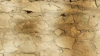 Açık havada hareket eden gölgeli bir duvar. Kusursuz video binası arka plan hareketi. Doğal açık hava güneş ışığı silueti.