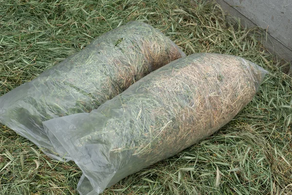 Sacks Freshly Cut Green Hay Preparation Animals — Stock Photo, Image