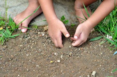Small children are playing in the sand in the yard