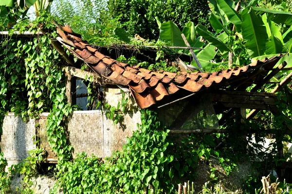 stock image Buildings made of wood collapsed because they were weathered