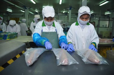 Jakarta, Endonezya - 26 Mayıs 2017: Muara Baru limanında ton balığı işleme faaliyetleri, Jakarta, Endonezya