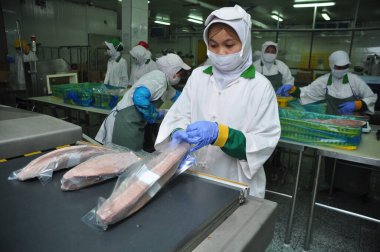 Jakarta, Endonezya - 26 Mayıs 2017: Muara Baru limanında ton balığı işleme faaliyetleri, Jakarta, Endonezya