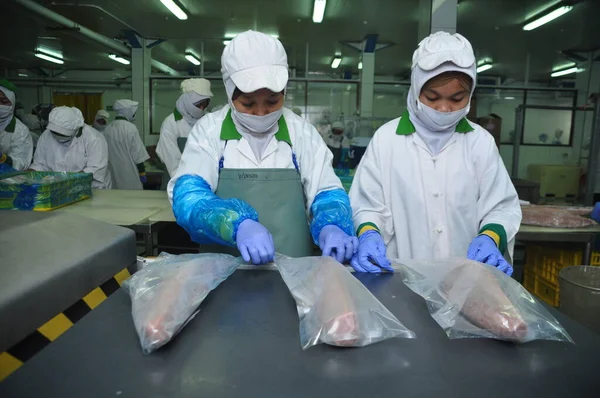 Jakarta, Endonezya - 26 Mayıs 2017: Muara Baru limanında ton balığı işleme faaliyetleri, Jakarta, Endonezya