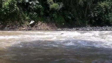 Nehir hızlı akıntıyla akıyor