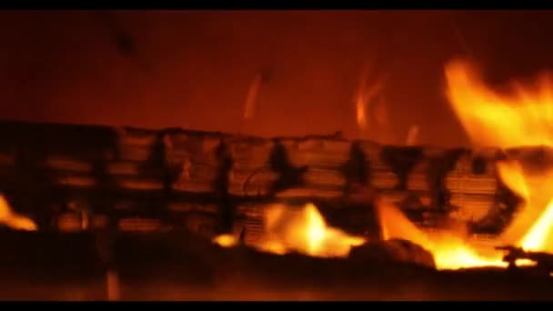 有玻璃门的壁炉中的火 — 图库视频影像