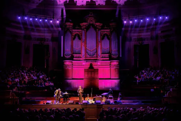 September 2023 Het Concertgebouw Amsterdam Netherlands Concert Elvis Costello Steve — Stock Photo, Image
