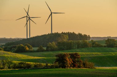 Kuzey Almanya 'nın güzel sonbahar manzarası