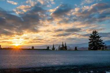 Romanya 'nın Transilvanya dağlarındaki asfalt bir yol kıvrımı