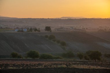 Kuzey Yunanistan 'ın kırsal manzarası, tarlalar, zeytin bahçeleri