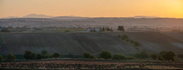 Paesaggio Rurale Della Grecia Settentrionale Campi Uliveti Panorama — Foto Stock