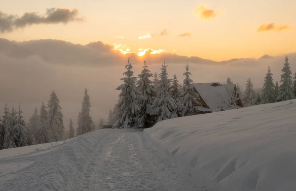 Snöig Och Vacker Vinter Tatrabergen Nära Zakopane Resort Polen — Stockfoto