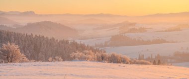 Gün doğumunda son derece soğuk dağ manzarası. Pieniny Dağı, Polonya